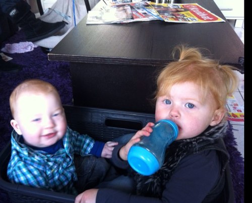 JosjhaSwoop's profile picture. Bron van frustratie of een inspiratiebron? | papa van Isis & Axl | ICT System Engineer | gediplomeerd prutser