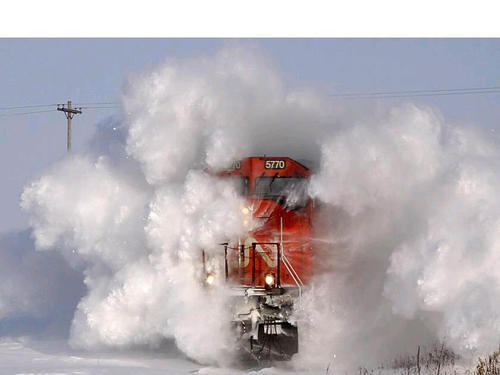 hirail's profile picture. It's Always Winter Beyond The Wall