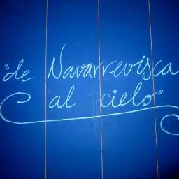 Emborrachando navarrevisqueñ@s desde 1982... Crta de Burgohondo Navarrevisca (ávila)