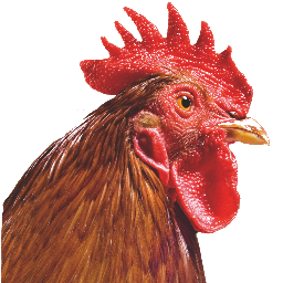 Chicken Care from Global Herbs.  Vet developed high quality supplements to keep your chickens strong & happy.