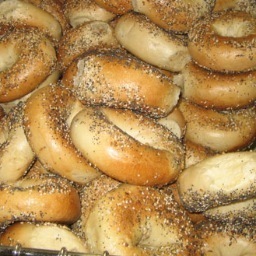Bagel Fans...We make our award-winning bagels fresh from scratch daily. You'll also love our delicious sandwiches, freshest salads and gourmet coffee.