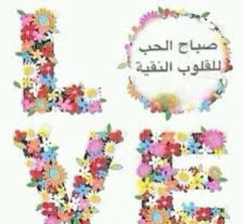 6lool5's profile picture. 