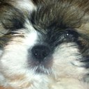 Danny Mayorga - @ldanubi - Twitter