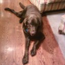 paul wechsler - @commishfour - Twitter