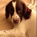 Debbie Meade - @deb_meade - Twitter