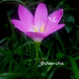 chow1043's profile picture. “Nature is full of infinite causes that have never occurred in experience.” ~ Leonardo da Vinci
http://t.co/jSMtPdwehC