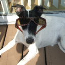 emma mcglade - @emmamcglade2 - Twitter