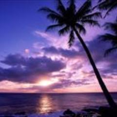 oriental121's profile picture. Uks Premier Far East & Indochina Holiday Specialist All Tailor Made At Unbeatable Prices. Fully ATOL Protected