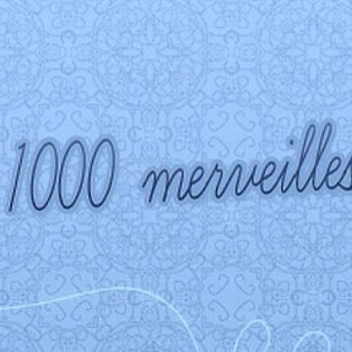 1000 Merveilles est un site de vernis et d'accessoires pour les ongles de haute qualité à petit prix ! 
Facebook : 1000 Merveilles / 1000merveilles@gmail.com