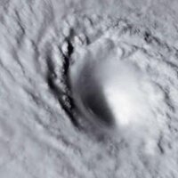 Sandy Watch (@sandywatch) 's Twitter Profile