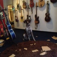 Lord Lichens (@lordlichens) 's Twitter Profile