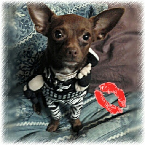 Squeaky1369's profile picture. Tattooed gypsy, flowerchild born late, goofy prankster, quiet instigator, ethical slut, bitch, angel...I've been called it all, you decide...