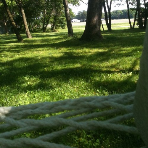 doesnotexsis's profile picture. 