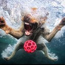 John Dewing - @dewingj - Twitter