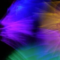 AHRC Connect (@ahrcconnect) 's Twitter Profile