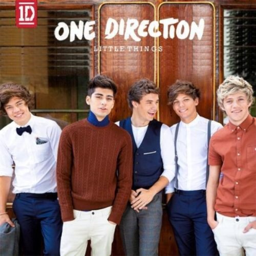 My two hobys are loving @onedirection,and fashion designing:)) follow me instagram @guywork to check out my fashion!!