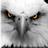 Peter_Casares's profile image