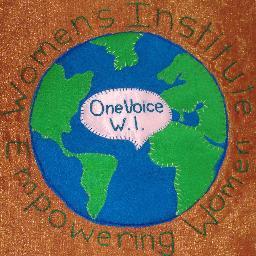 OneVoice WI's aim is to bring together women from all ethnic backgrounds to share and learn skills in a fun way and most importantly to get empowered.