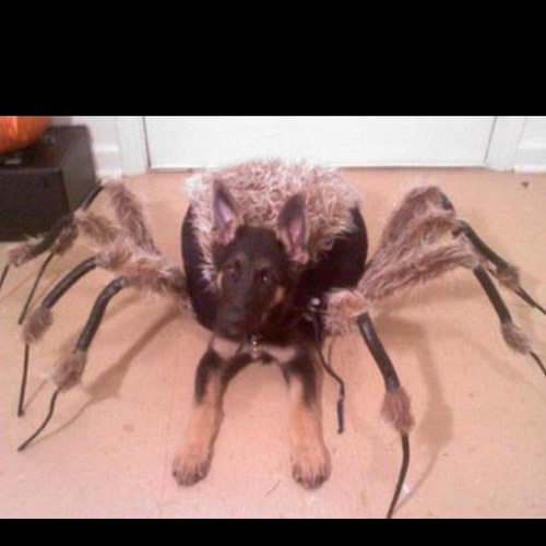 TheHumorTumor's profile picture. The Doctor came back with your results, and they are HILARIOUS! 

Growin on your funny bone