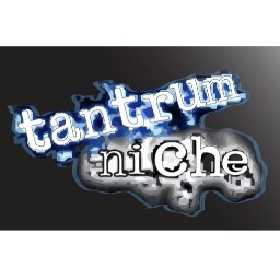 Tantrum Niche Records is an independent company specializing in the publishing, distribution, recording, production, & promotion of independent works of music.
