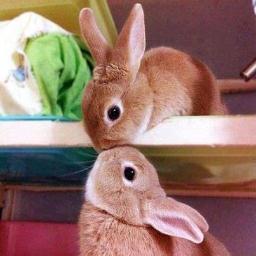 exfrases83's profile picture. El futuro pertenece a quienes creen en la belleza de sus sueños  (Eleanor Roosevelt ),  a soñar twitteros, sigo a quien me siga si no me cren compruebenlo :)