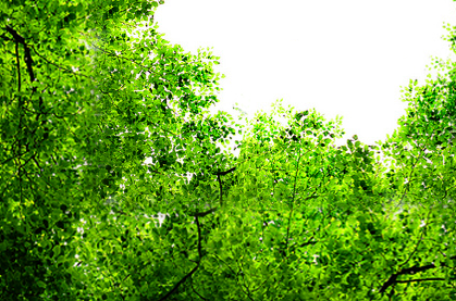 ReachDesign's profile picture. #1 UK Packaging Design Agency