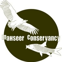 Mahseer Conservancy(@GoldenMahseer) 's Twitter Profile Photo