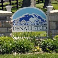 Denali Stud (@denalistud) 's Twitter Profile Photo Denali Stud (@denalistud) 's Twitter Profile Photo