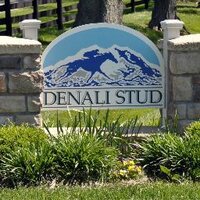 Denali Stud(@DenaliStud) 's Twitter Profile Photo