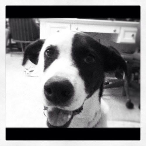 loganwatts36's profile picture. 