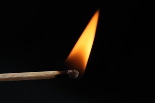 EditoraFosforo's profile picture. Editorial independiente que promueve la literatura de calidad.