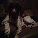 Ryan Plate - @ryanplate - Twitter