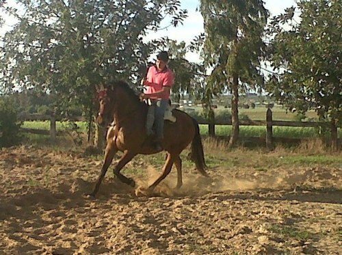 pedromu18728216's profile picture. Me gusta el futbol , los toros , los caballos y salir con mis amigos. Soy sevillista hasta la muerte y rociero hasta la medula!