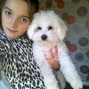 rebecca shackleton (@11RebeccaS) Twitter