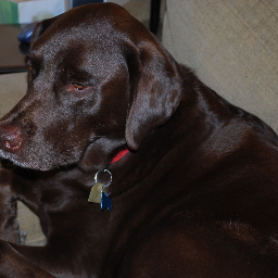 svkaestle's profile picture. Male - 50 - Married