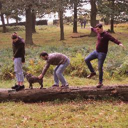 Pour_La_Belle's profile picture. Acoustic folk trio from the midlands