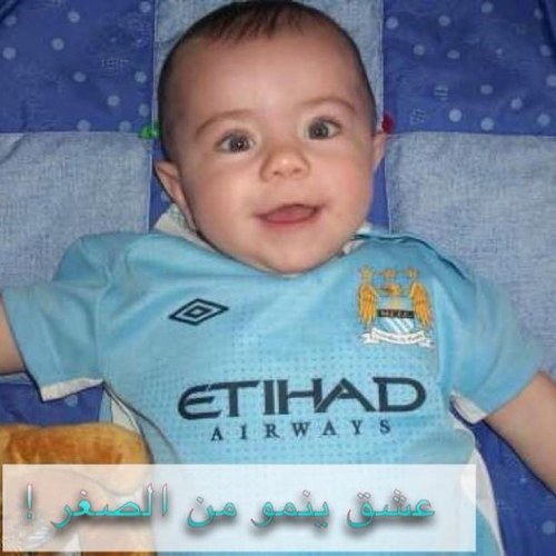 magedalmagd31's profile picture. 