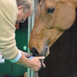 DrMatthesen's profile picture. 