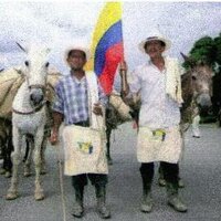 MANUEL GONZALEZ (@manuelarnulfo) 's Twitter Profile