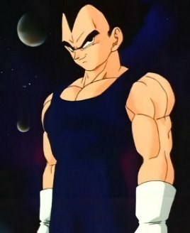 I am a warrior, the Saiyan Prince, VEGETA! I am the second strongest warrior in the universe. I am happily married to @WifetoVegeta and a father.