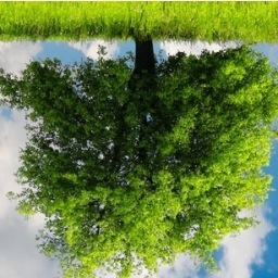 SeattleGreenEco's profile picture. Seattle WA, Go Green I  Seattle Green News I Environmental news and green living tips | My name is Kate Wilson | Read my article(s) http://t.co/1eIJplWXhX