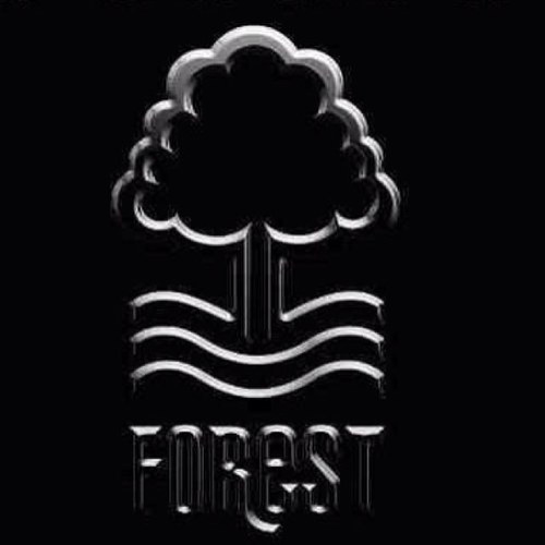 nottingham forest fan born and bread🍞🥖#nffc