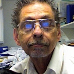 Born 1940, Married, Mechanical Construction Change Order Estimator, Independent Voter.