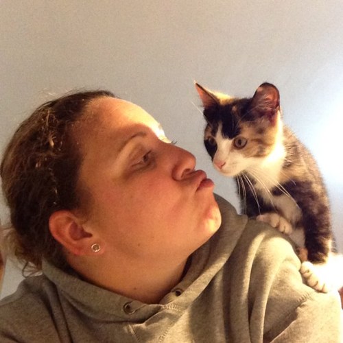 Mobrien516's profile picture. 