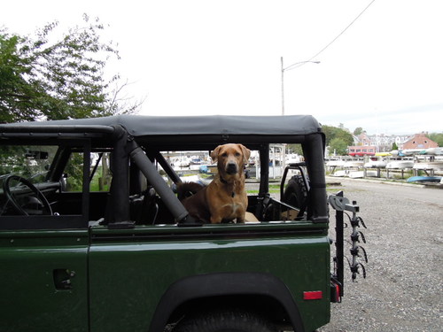 roverct's profile picture. 