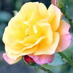 Aspiring photographer.. Please feel free to visit my site. You may find something you really like. If so tweet me!