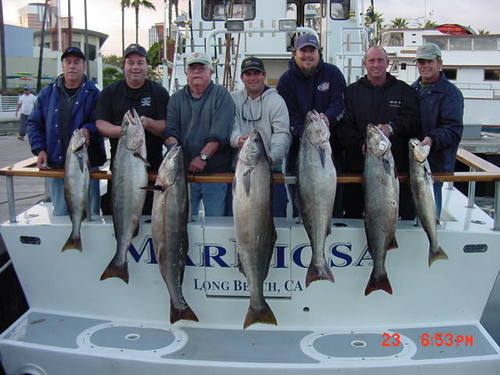 One of the top 6 pack sportfishing charter boats for White Seabass on the So Cal coast.  Sportfishing.  Charter Fishing.  Ocean Fishing. Anything fishing.