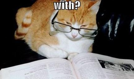 😼Yep, its really just about Cat