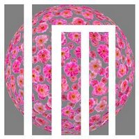 紅梅@ｶｰﾁｬﾝ (@reddish_plum) Twitter profile photo