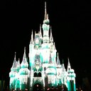 Gina Harbison - @HarbisonGina - Twitter